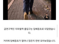 심지어 구청도 버리고 갔다 쓰레기 심각한 홍대 거리 근황