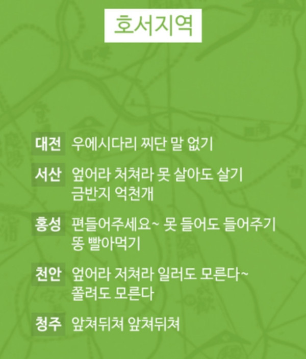 지역별 편가르기 구호
