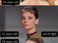 세기의 미녀들 외모 변천사