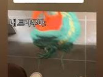 외국 끄덕이는 짤