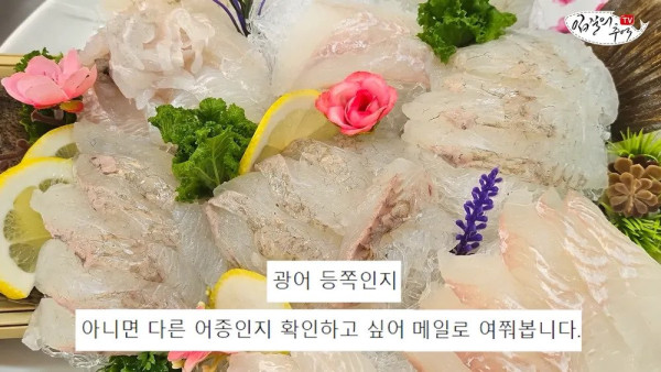 횟집에서 광어로는 사기 안치는이유