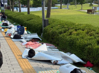 실시간 연세대 상황