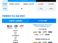 쿠팡플레이 스포츠패스 일반 요금제 8월 출시