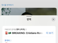 호날두, 새로운 계약 체결함으로써 알나스르에 남음 ㄷㄷ