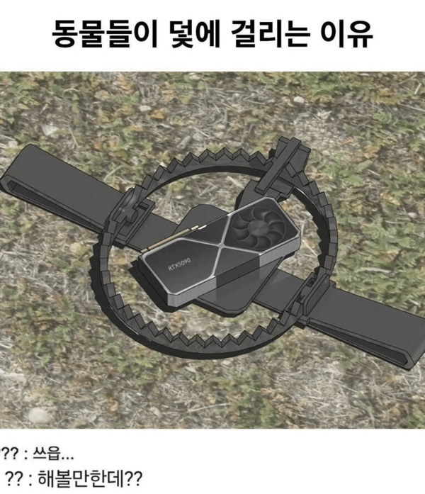 동물들이 덫에 걸리는 이유