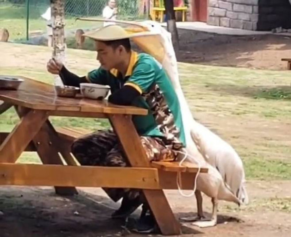 순간 모자쓴줄 ㅋㅋ