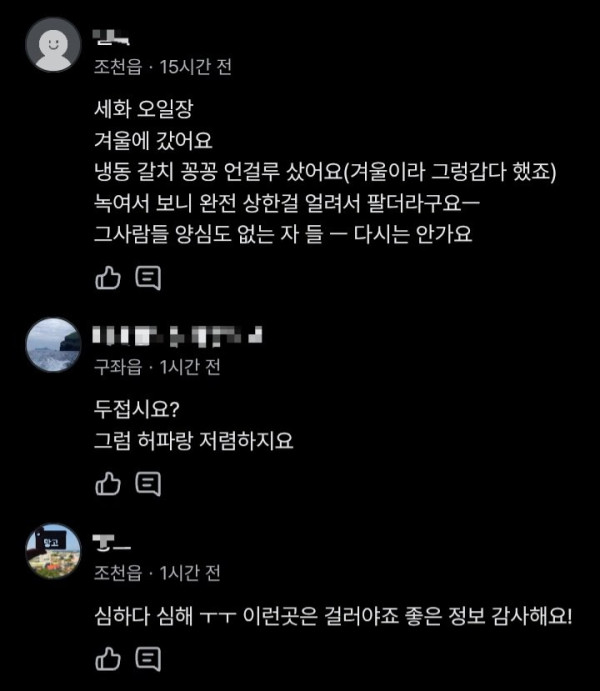 도민도 외면한 제주 세화5일장 분식 수준 ㄷㄷ
