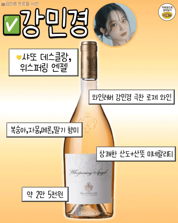 연예인 픽 1~3만원대 와인리스트