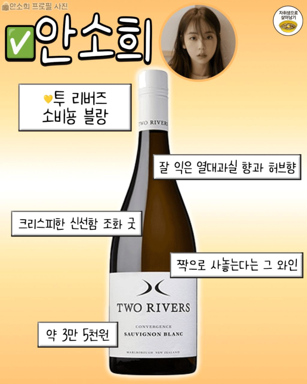 연예인 픽 1~3만원대 와인리스트