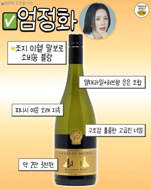 연예인 픽 1~3만원대 와인리스트