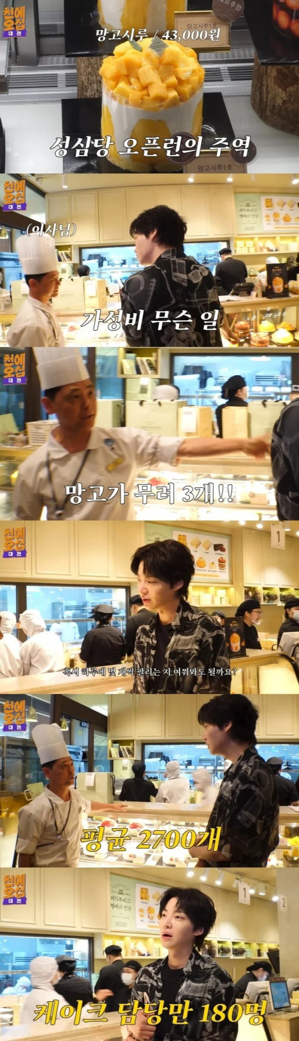 성심당 하루에 팔리는 망고시루 케이크 갯수의 위엄