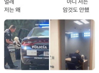 저는 왜 잡아 가나요