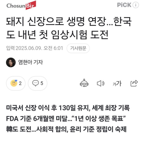돼지 신장으로 생명 연장   한국도 내년 첫 임상시험 도전