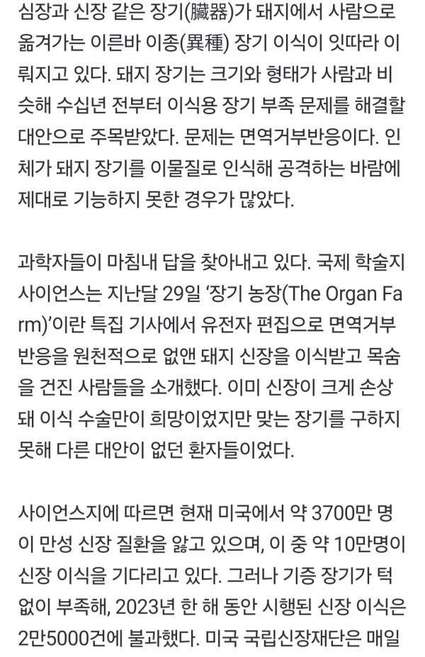 돼지 신장으로 생명 연장   한국도 내년 첫 임상시험 도전