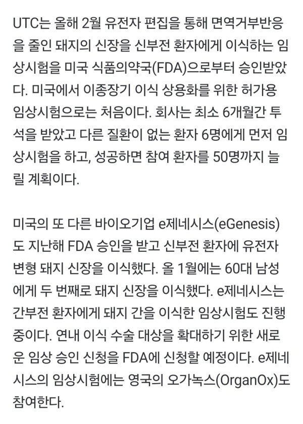 돼지 신장으로 생명 연장   한국도 내년 첫 임상시험 도전