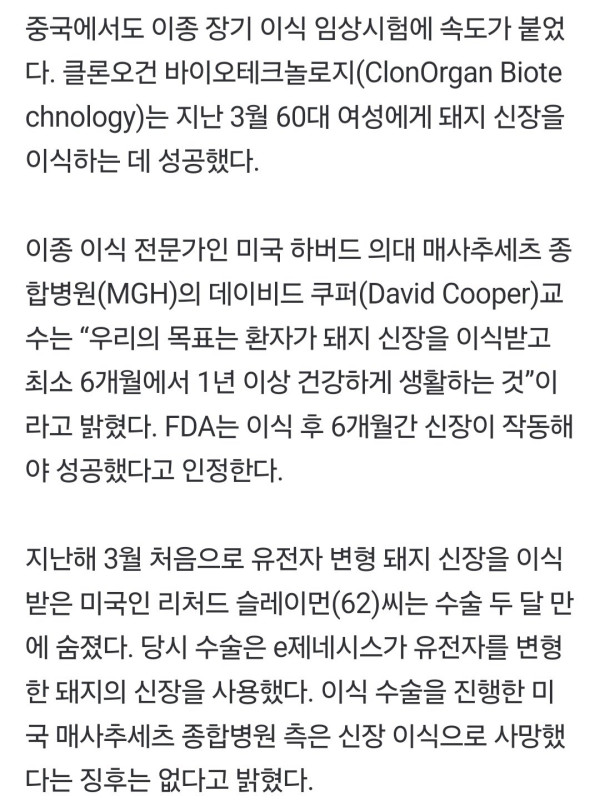 돼지 신장으로 생명 연장   한국도 내년 첫 임상시험 도전