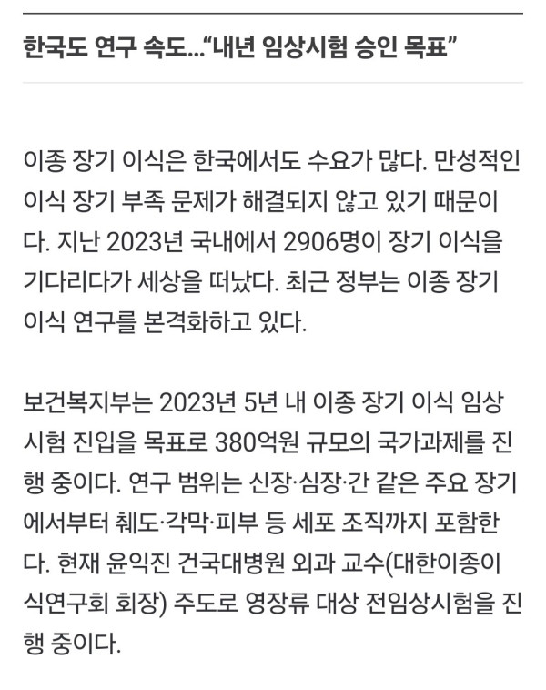 돼지 신장으로 생명 연장   한국도 내년 첫 임상시험 도전