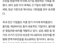 돼지 신장으로 생명 연장   한국도 내년 첫 임상시험 도전