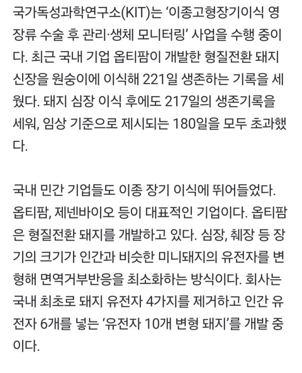 돼지 신장으로 생명 연장   한국도 내년 첫 임상시험 도전