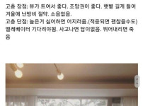아파트 고층과 저층의 장단점