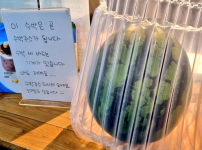 수박 씨 바르는 기