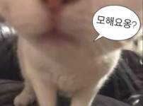 내 베스티가 오랫동안  휴대폰에 있을 때