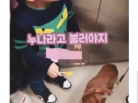 아이한테 거짓말 하려다 실패한 아줌마