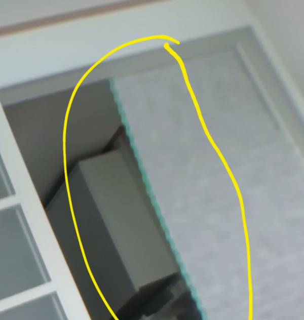 님들 이거 무슨 색으로 보임?