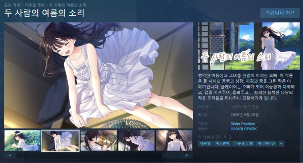 스팀 버전에서 이름이 바뀐 일본 게임