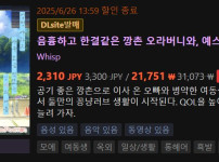 스팀 버전에서 이름이 바뀐 일본 게임