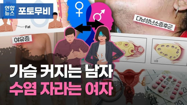 에겐남과 테토녀