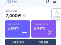 민생지원금 받아서 나라에 돌려준 디씨인