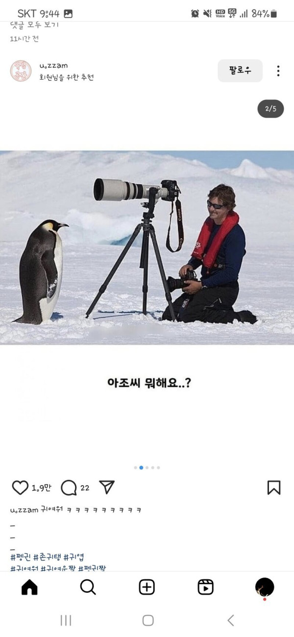 펭귄 다큐 촬영이 어려운 이유래