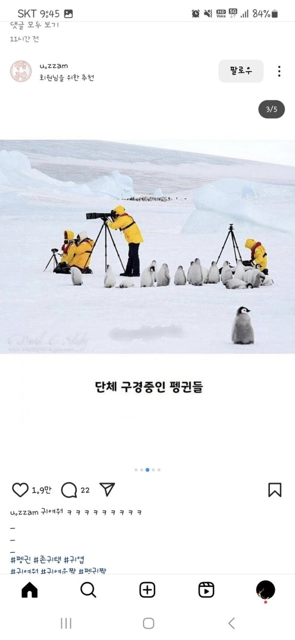 펭귄 다큐 촬영이 어려운 이유래