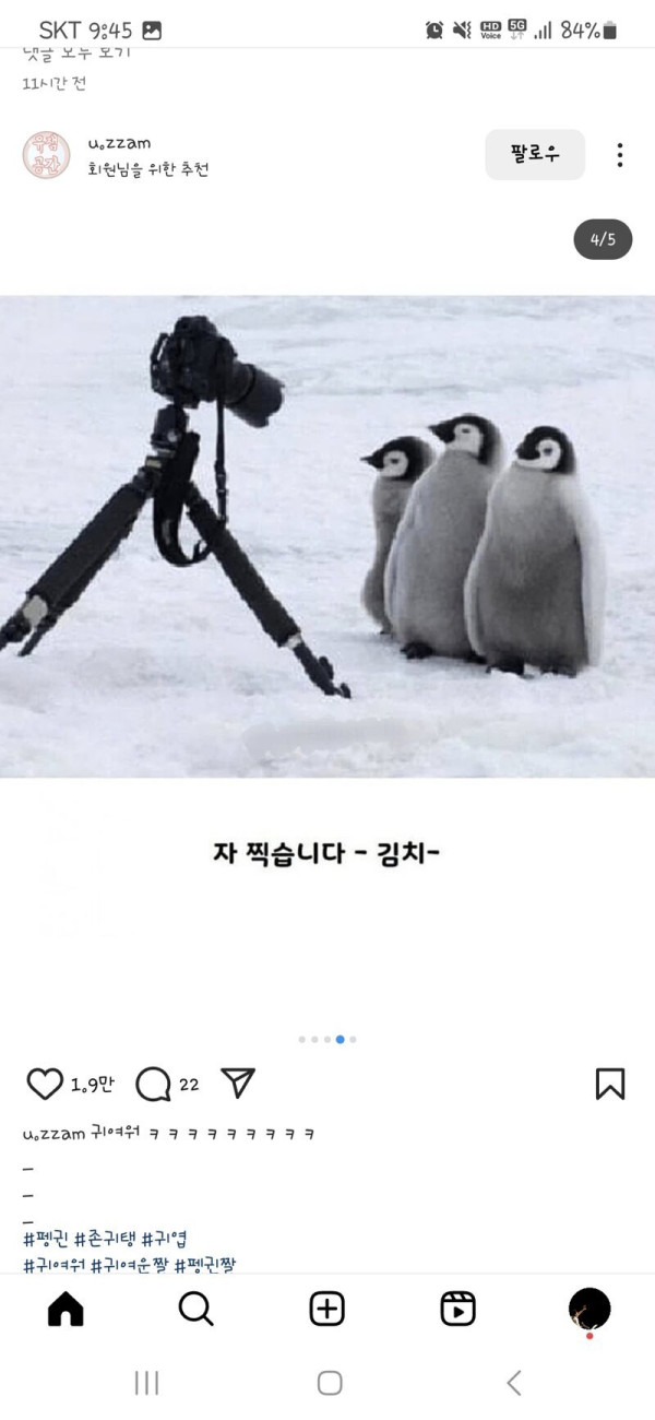 펭귄 다큐 촬영이 어려운 이유래