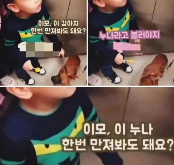 이모, 이 누나 만져도 돼요?