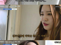 고양이 95마리 키우는 캣맘