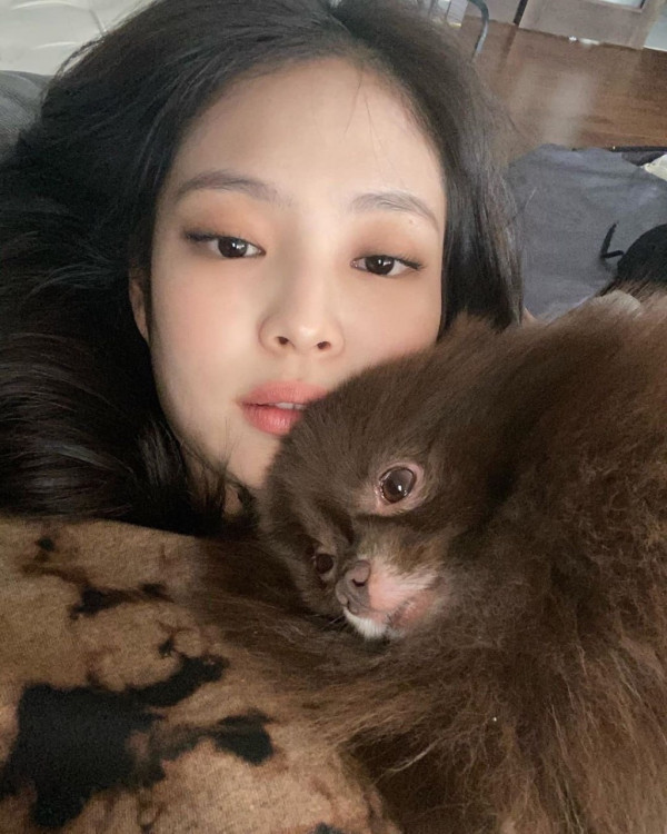 K팝 스타들이 반려동물에게 지어준 귀여운 이름들