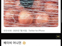 고양이 이름이 양파인 이유