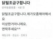 당근에 나타난 연금술사