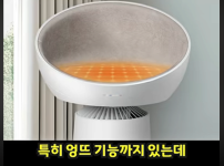 LG 공기청정기 + 켓돔