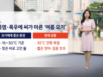 올해 폭염에 자취 감춘 그것