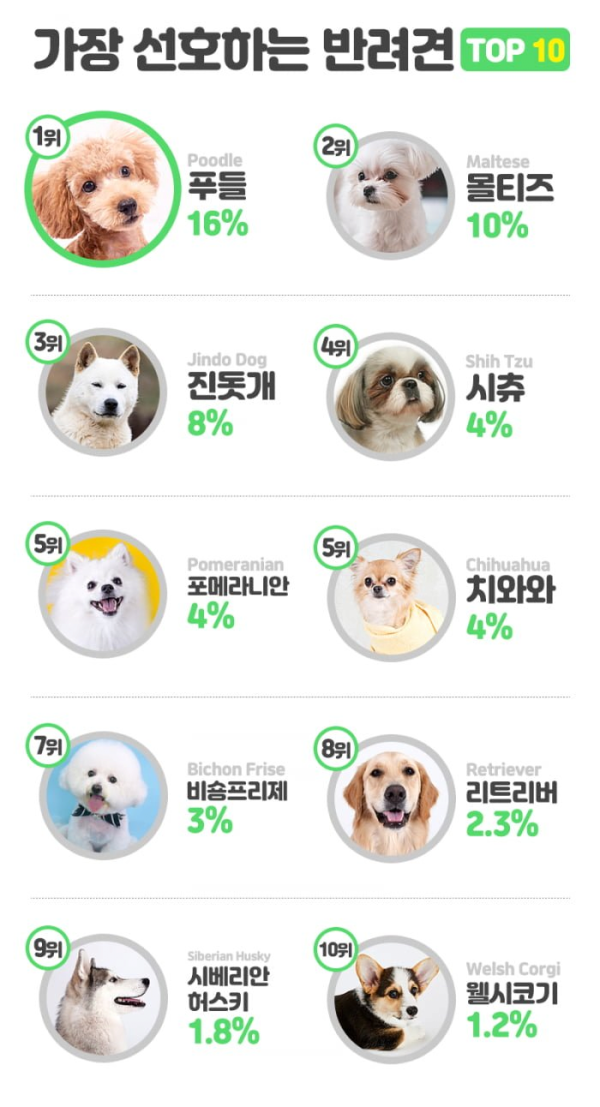 한국인이 좋아하는 반려견 순위