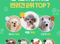 한국인이 좋아하는 반려견 순위