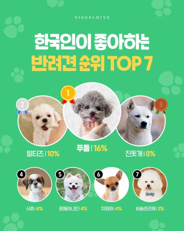 한국인이 좋아하는 반려견 순위