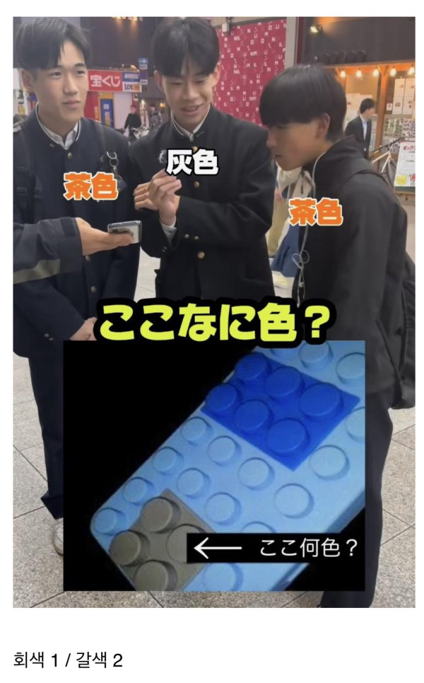 사람마다 다르게 보인다는 색깔 ㄷㄷ