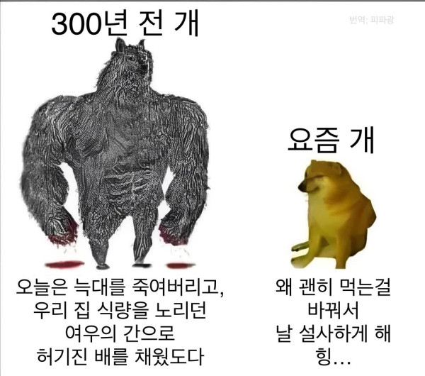 300년 전 개와 요즘 개.