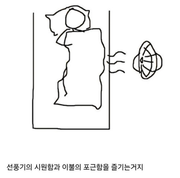 요즘 다 이러고 잠 ㄹㅇ ㅋㅋ
