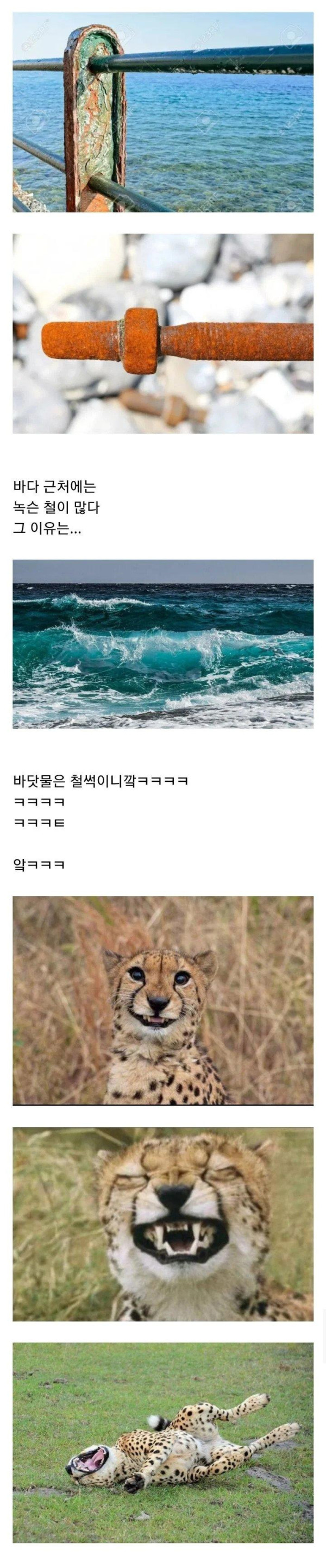 바닷물이 철을 녹슬게 만드는 이유