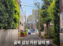일본 여행 갔다오면 걸린다는 병
